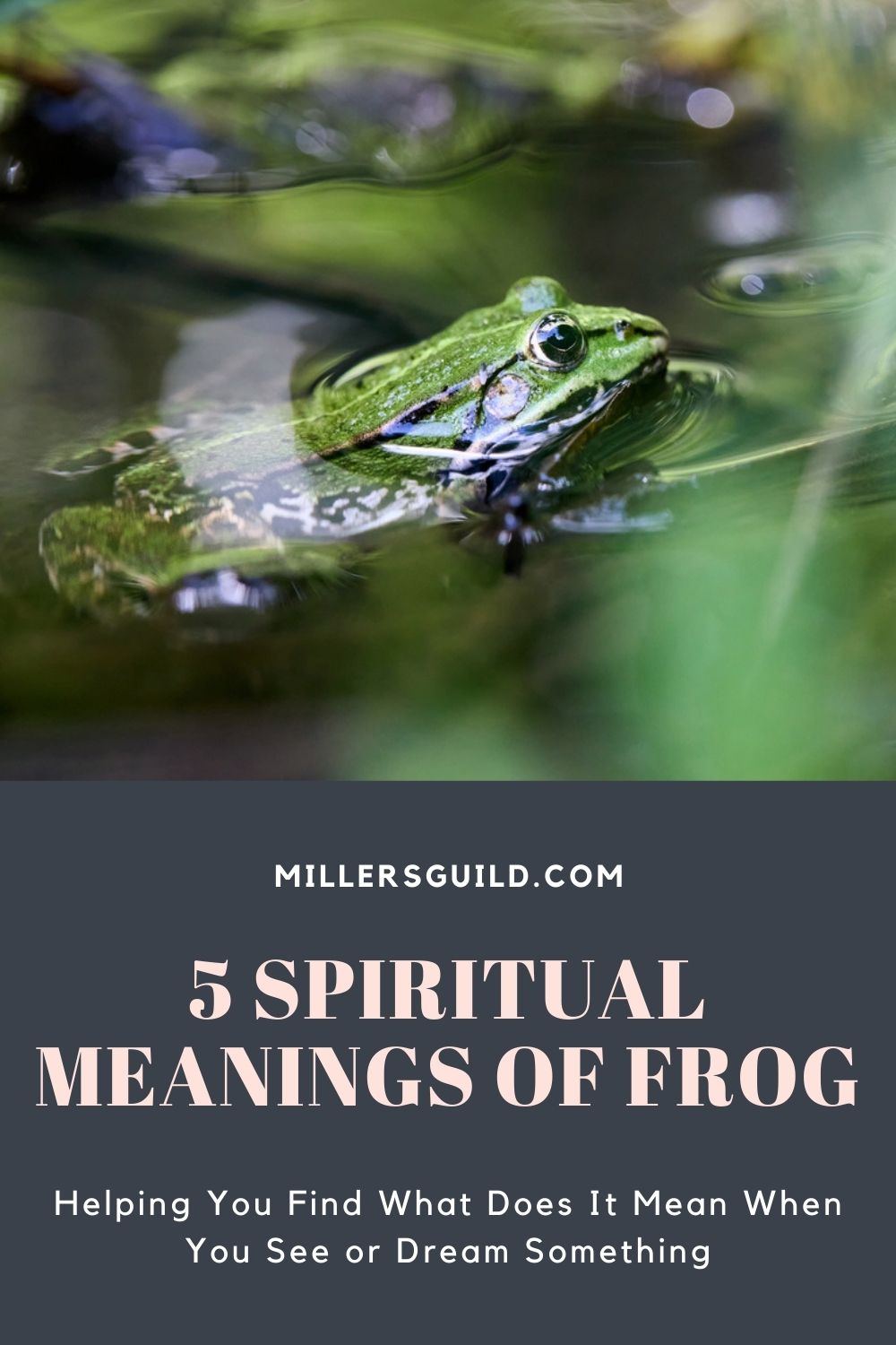 5 Spiritual Meanings of Frog 2
