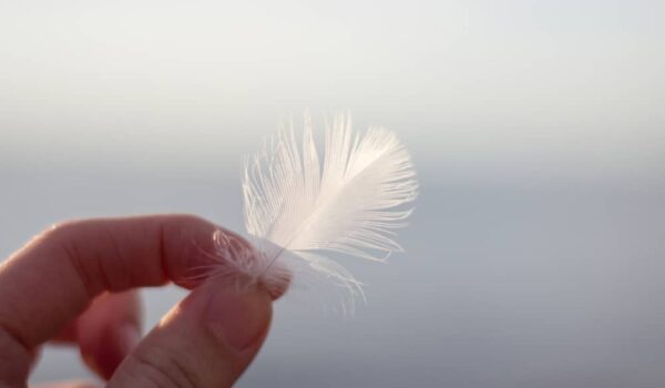7 Spiritual Meanings When You Find a White Feather