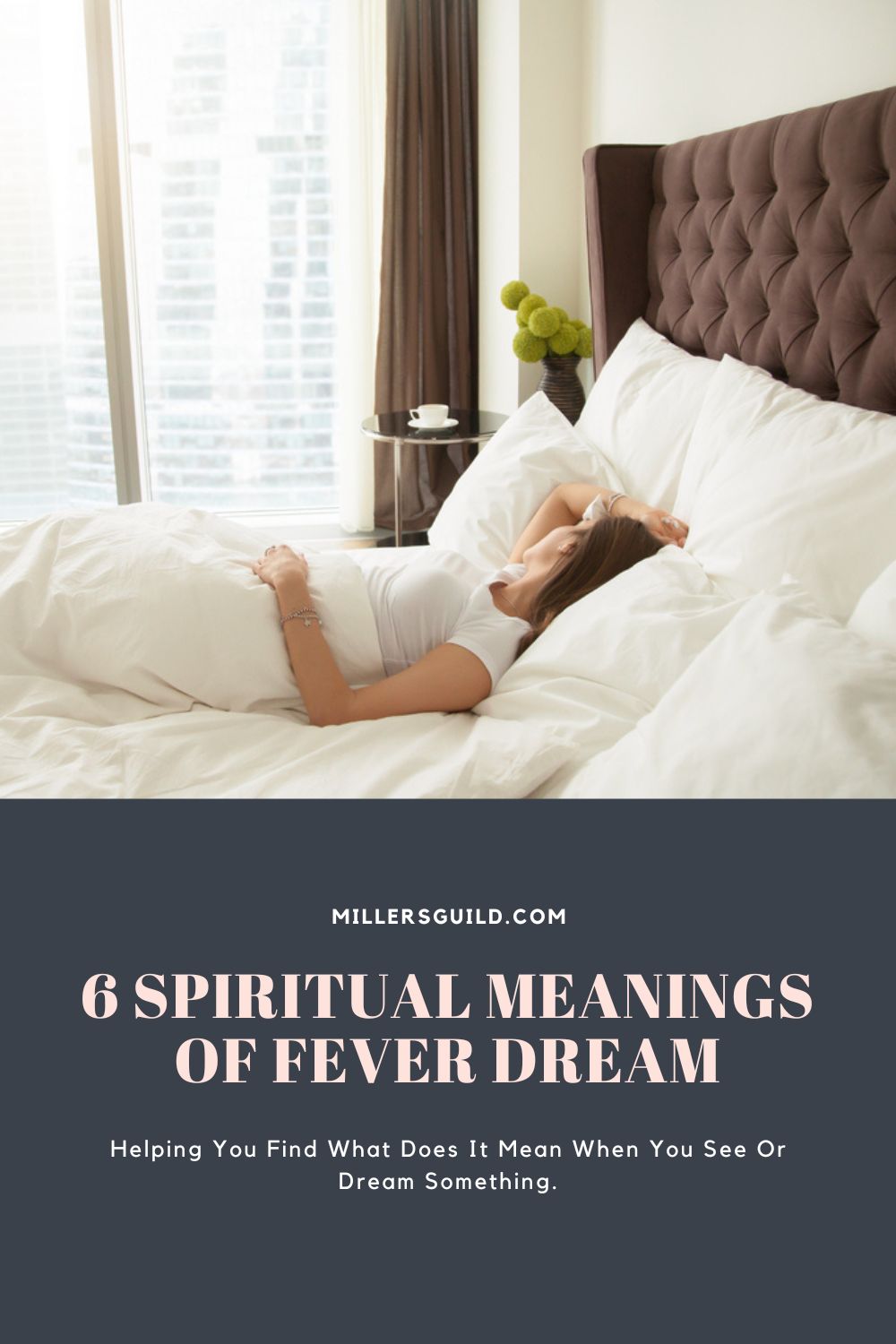 Meanings of Fever Dream