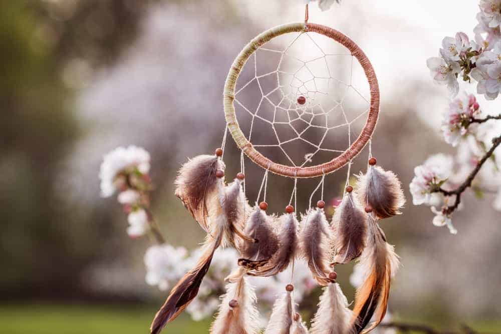 what does the dreamcatcher mean